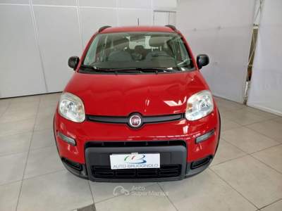 Fiat Panda 1.0 FireFly S&S Hybrid Rosso usata Mugnano di Napoli