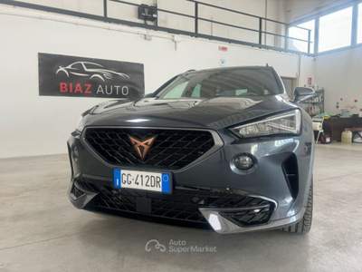 Cupra Formentor 2.0 TDI 4Drive DSG 150CV Grigio usata Spilimbergo