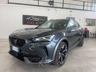 Cupra Formentor 2.0 TDI 4Drive DSG 150CV Grigio usata Spilimbergo