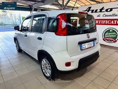 Fiat Panda Panda 1.0 FireFly S&S Hybrid Bianco usata ACI CASTELLO
