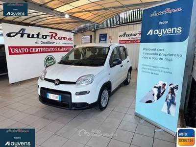 Fiat Panda Panda 1.0 FireFly S&S Hybrid Bianco usata ACI CASTELLO