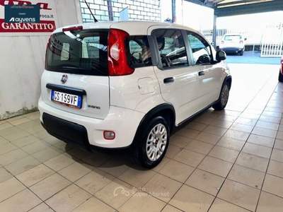 Fiat Panda Panda 1.0 FireFly S&S Hybrid Bianco usata ACI CASTELLO