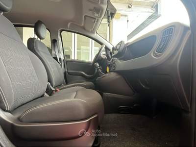 Fiat Panda 1.0 FireFly 70cv S&S Hybrid Grigio usata Pordenone