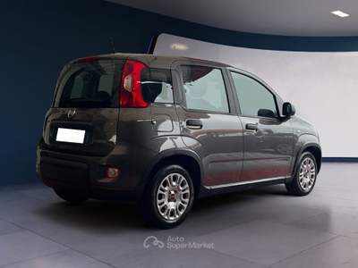 Fiat Panda 1.0 FireFly 70cv S&S Hybrid Grigio usata Pordenone