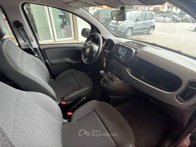 Fiat Panda 1.0 FireFly 70cv S&S Hybrid Grigio usata Pordenone