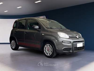 Fiat Panda 1.0 FireFly 70cv S&S Hybrid Grigio usata Pordenone