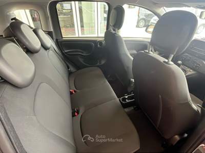 Fiat Panda 1.0 FireFly 70cv S&S Hybrid Grigio usata Pordenone