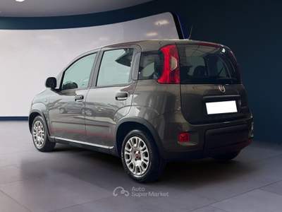 Fiat Panda 1.0 FireFly 70cv S&S Hybrid Grigio usata Pordenone