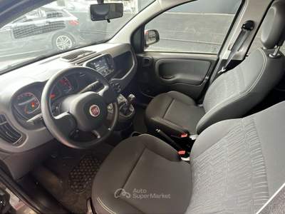 Fiat Panda 1.0 FireFly 70cv S&S Hybrid Grigio usata Pordenone