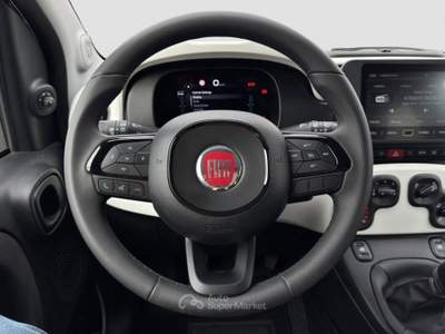Fiat Panda Cross 1.0 hybrid s&s 70cv - VARI COLORI Verde usata Cappella Maggiore