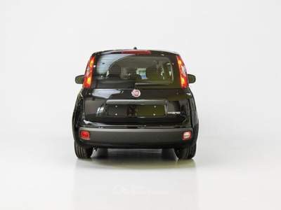 Fiat Pandina 1.0 firefly hybrid Icon s&s 65cv 5p.ti Nero usata Parma