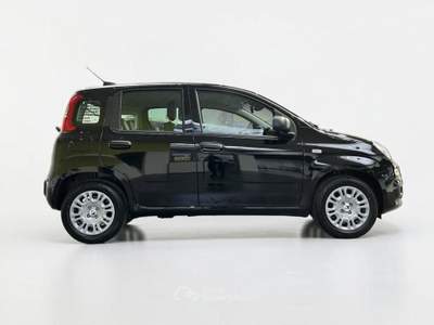 Fiat Pandina 1.0 firefly hybrid Icon s&s 65cv 5p.ti usata Parma
