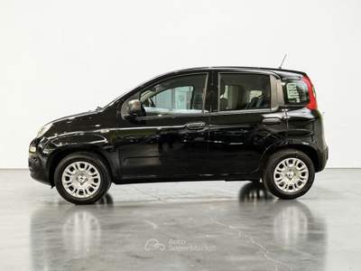 Fiat Pandina 1.0 firefly hybrid Icon s&s 65cv 5p.ti usata Parma