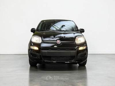 Fiat Pandina 1.0 firefly hybrid Icon s&s 65cv 5p.ti usata Parma