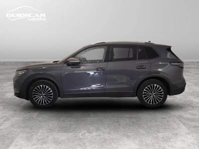 Volkswagen Tiguan 2.0 TDI SCR EVO Edition Plus DSG Grigio usata Lucca