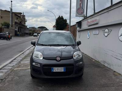 Fiat Panda 95 CV S&S Easy Grigio usata Sant'Antimo Fiat Panda 95 CV S&S Easy Grigio usata Sant'Antimo