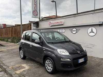 Fiat Panda 95 CV S&S Easy Grigio usata Sant'Antimo