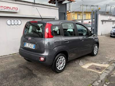 Fiat Panda 95 CV S&S Easy Grigio usata Sant'Antimo