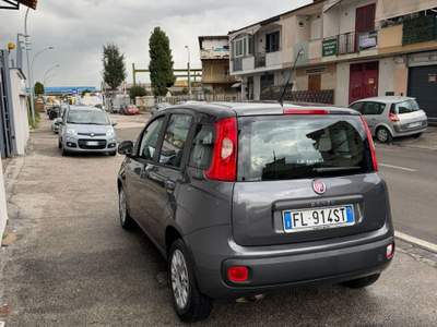 Fiat Panda 95 CV S&S Easy Grigio usata Sant'Antimo
