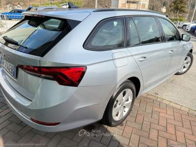Skoda Octavia Octavia 2.0 TDI SCR 150CV DSG Wag. Exec. Argento usata CALDONAZZO