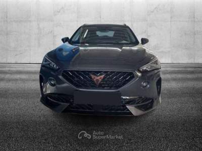 Cupra Formentor 2.0 TDI 4Drive DSG Grigio usata Pieve di Cento