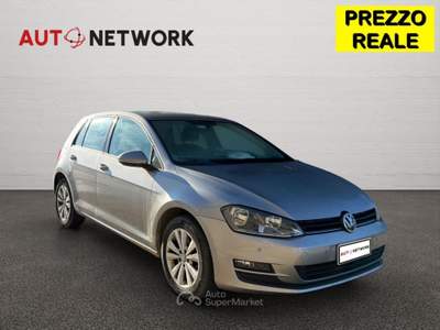 Volkswagen Golf 1.6 TDI 110 CV 5p. Business BlueMotion Grigio usata Imola