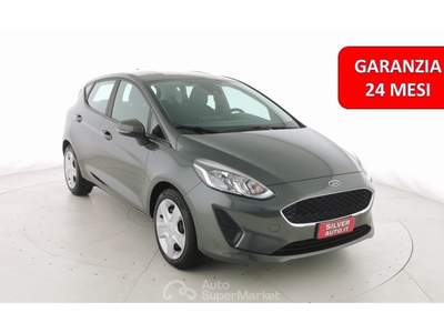 Ford Fiesta 1.5 EcoBlue 5 porte Connect Grigio usata Crema