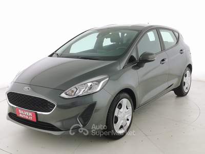 Ford Fiesta 1.5 EcoBlue 5 porte Connect Grigio usata Crema