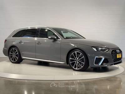 Audi S4 Avant TDI Mild Hybrid quattro PREZZO REALE Grigio usata San Biagio di Callalta