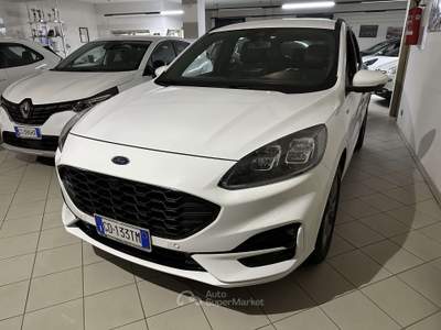 Ford Kuga 2.0 ecoblue ST-Line X awd 190cv auto Bianco usata Castelnovo ne' Monti