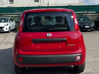 Fiat Pandina 1.0 FireFly 65 CV Hybrid Pop Rosso usata Novara