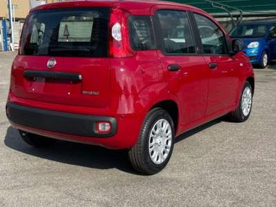 Fiat Pandina 1.0 FireFly 65 CV Hybrid Pop Rosso usata Novara
