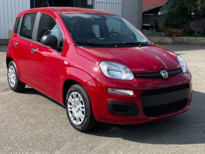 Fiat Pandina 1.0 FireFly 65 CV Hybrid Pop Rosso usata Novara