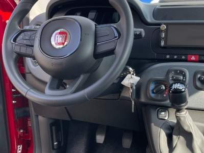 Fiat Pandina 1.0 FireFly 65 CV Hybrid Pop Rosso usata Novara