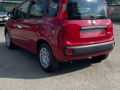 Fiat Pandina 1.0 FireFly 65 CV Hybrid Pop Rosso usata Novara