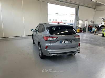 Ford Kuga 2.0 ECOBLUE 120CV 2WD ST-LINE Grigio usata Megliadino San Vitale