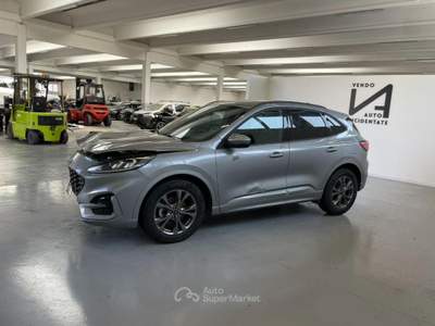 Ford Kuga 2.0 ECOBLUE 120CV 2WD ST-LINE Grigio usata Megliadino San Vitale