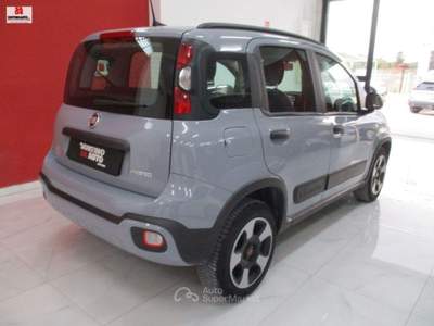 Fiat Panda 1.0 FireFly S&S Hybrid City Cross Grigio usata Vittoria