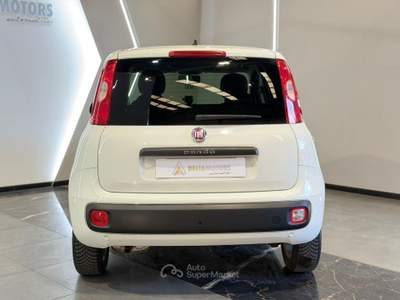 Fiat Panda Panda 1.2 Lounge 69cv Bianco usata Aprilia