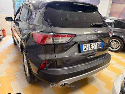 Ford Kuga EcoBlue 120 CV 2WD Titanium Business Grigio usata Adelfia