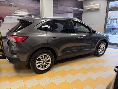 Ford Kuga EcoBlue 120 CV 2WD Titanium Business Grigio usata Adelfia