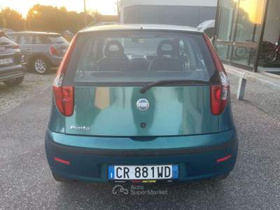 Fiat Punto Punto II 3p 1.2 Dynamic x NEOPATENTATI Verde usata Ravenna