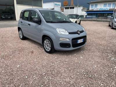 Fiat Panda 1.0 FireFly S&amp;S Hybrid Grigio usata San Pietro in Gu