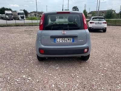 Fiat Panda 1.0 FireFly S&amp;S Hybrid Grigio usata San Pietro in Gu