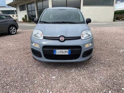 Fiat Panda 1.0 FireFly S&amp;S Hybrid Grigio usata San Pietro in Gu