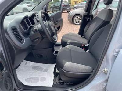 Fiat Panda 1.0 FireFly S&amp;S Hybrid Grigio usata San Pietro in Gu
