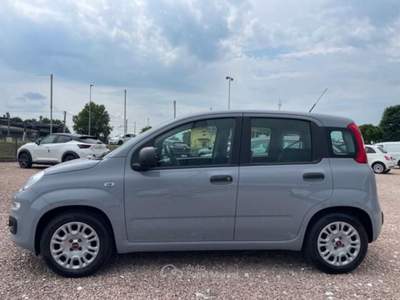 Fiat Panda 1.0 FireFly S&amp;S Hybrid Grigio usata San Pietro in Gu