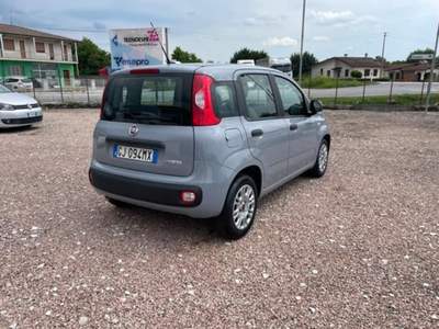 Fiat Panda 1.0 FireFly S&amp;S Hybrid Grigio usata San Pietro in Gu