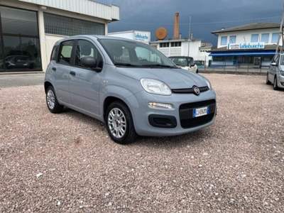 Fiat Panda 1.0 FireFly S&amp;S Hybrid Grigio usata San Pietro in Gu