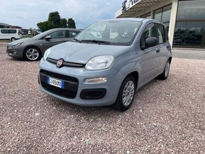 Fiat Panda 1.0 FireFly S&amp;S Hybrid Grigio usata San Pietro in Gu